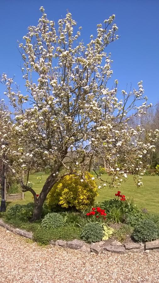 Sleepy Hollow Cottages Somerton  Εξωτερικό φωτογραφία