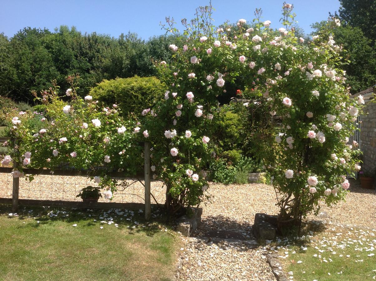 Sleepy Hollow Cottages Somerton  Εξωτερικό φωτογραφία